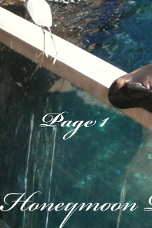 Honeymoon Photos Page 1